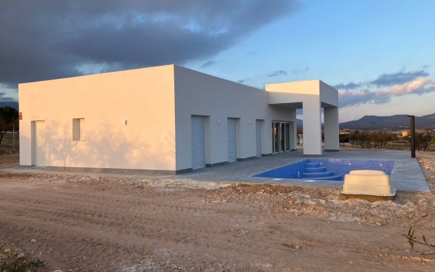 Nowy budynek - Villa - Pinoso