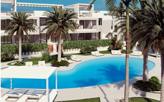Obra nueva - high-bungalow - Torrevieja