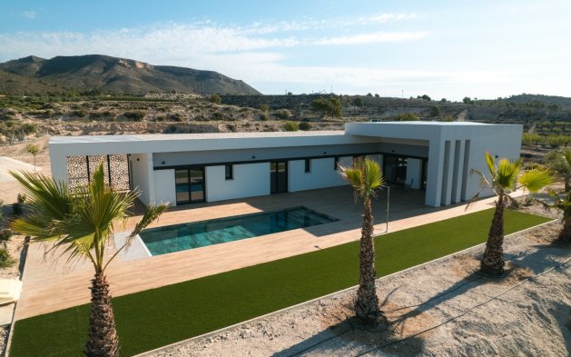Nowy budynek - Villa - Pinoso