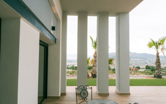 Nowy budynek - Villa - Pinoso