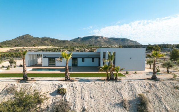 Nowy budynek - Villa - Pinoso