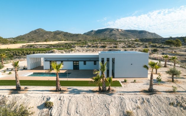 Nowy budynek - Villa - Pinoso