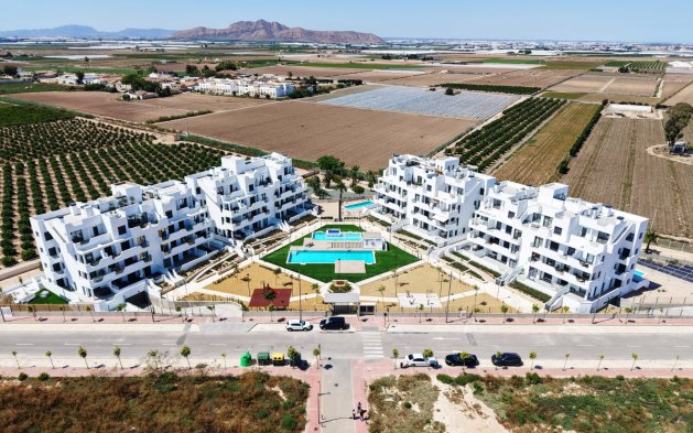 Obra nueva - ground-floor - Torre-Pacheco