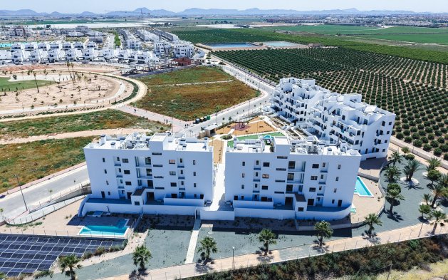 Obra nueva - ground-floor - Torre-Pacheco