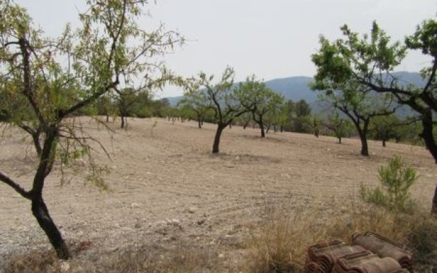 Videresalg - Parcela - Murcia