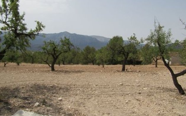 Videresalg - Parcela - Murcia