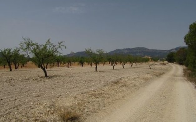 Videresalg - Parcela - Murcia