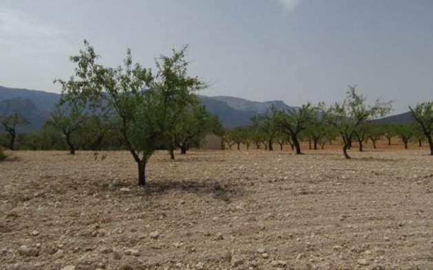 Videresalg - Parcela - Murcia