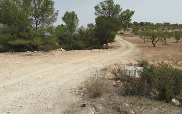 Videresalg - Parcela - Murcia