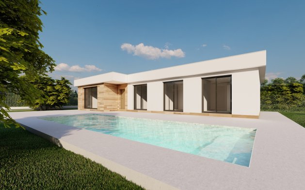 Obra nueva - detached - Calasparra