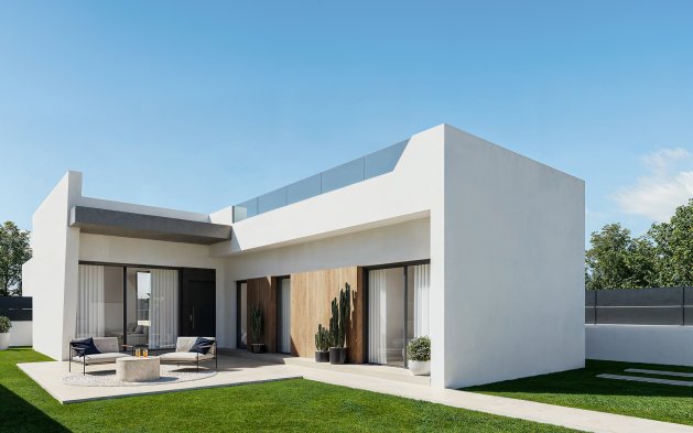 Nouvelle construction - detached - San Miguel de Salinas