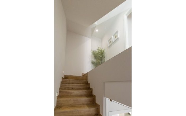 Obra nueva - detached - Pilar de la Horadada