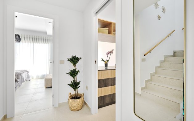 New Build - Villa - San Miguel de Salinas