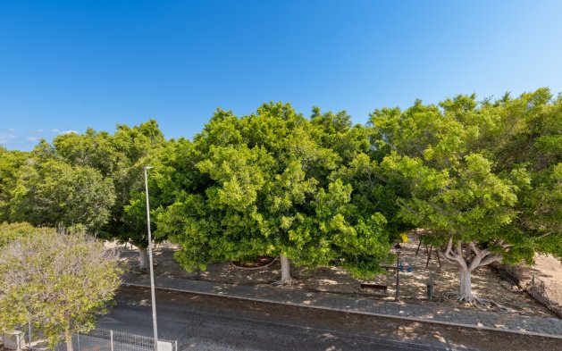 New Build - Villa - Pilar de la Horadada