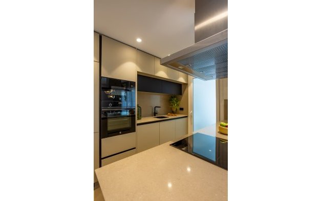 Obra nueva - high-bungalow - Algorfa