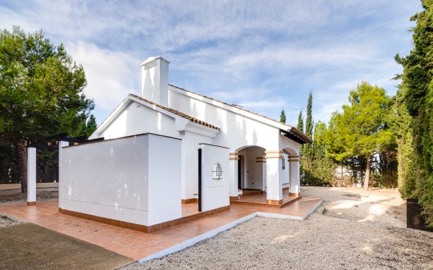 Obra nueva - detached - Fuente Alamo