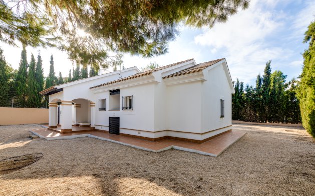Obra nueva - detached - Fuente Alamo