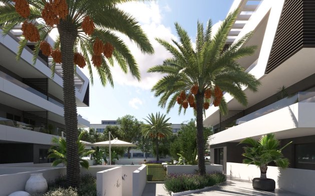 Obra nueva - ground-floor - San Juan de Alicante