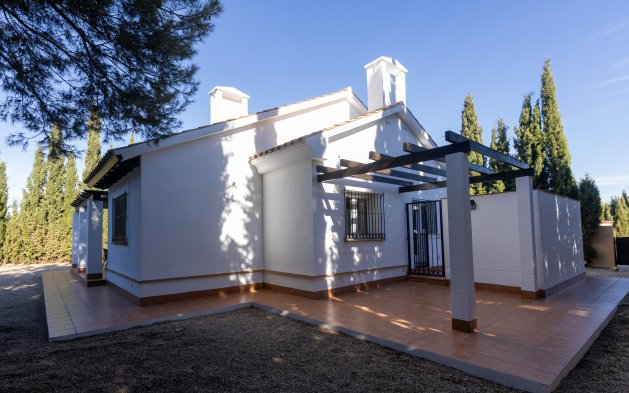 Obra nueva - detached - Fuente Alamo