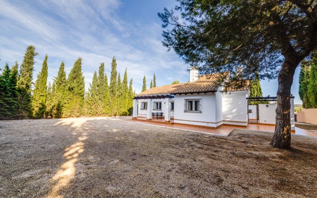 Obra nueva - detached - Fuente Alamo