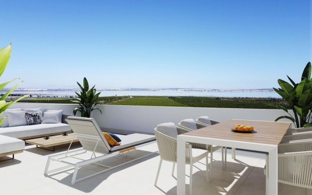 Nowy budynek - Penthouse - Torrevieja