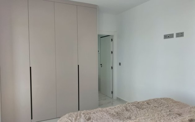 Obra nueva - detached - Pilar de la Horadada