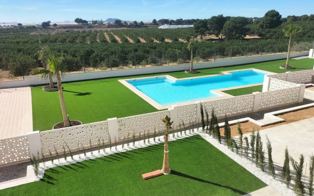 Obra nueva - detached - Pilar de la Horadada