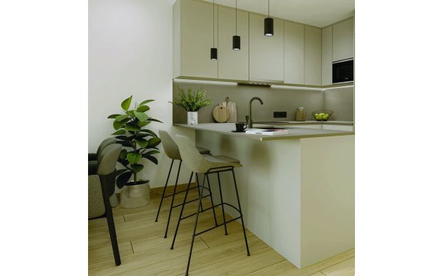 Nowy budynek - Penthouse - Torrevieja