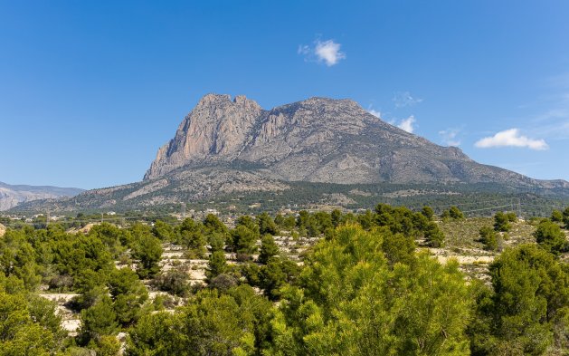 Nauja statyba - Vila - Finestrat