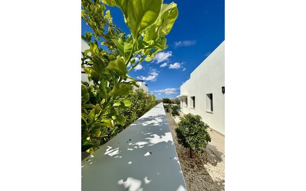 Nauja statyba - Vila - Benijofar