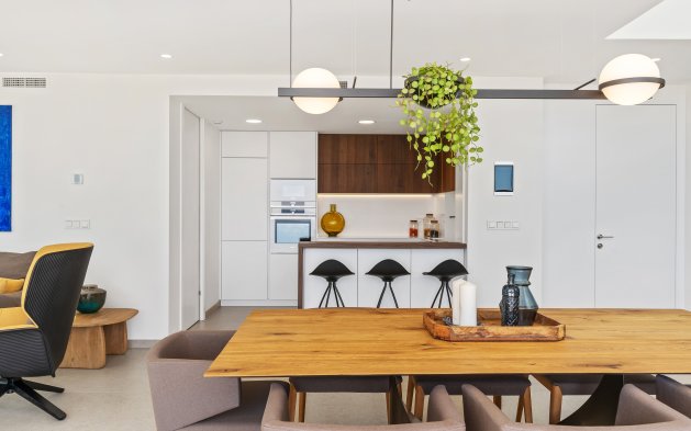 Nauja statyba - Vila - Altea