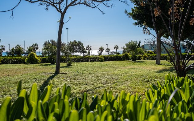 Resale - Bungalow - Pilar de la Horadada - Mil Palmeras