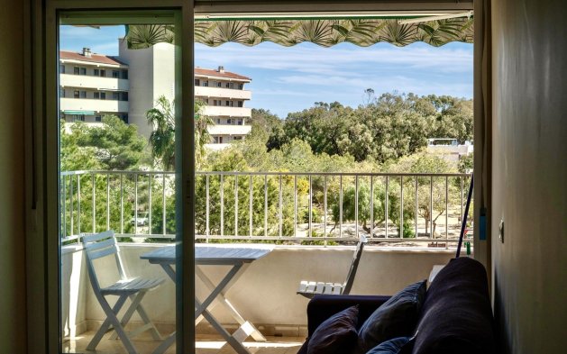 Perpardavimas - Butas - Guardamar del Segura