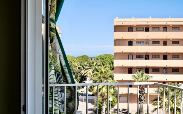 Perpardavimas - Butas - Guardamar del Segura