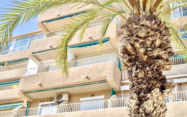 Perpardavimas - Butas - Guardamar del Segura