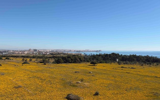 Begagnad - Lägenhet / lägenhet - Orihuela Costa - Punta Prima