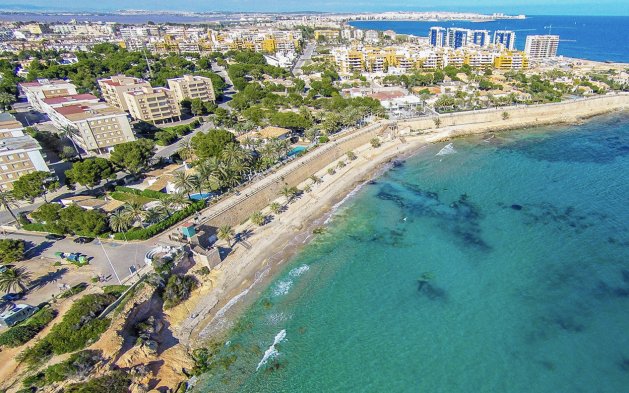 Obra nueva - detached - Orihuela