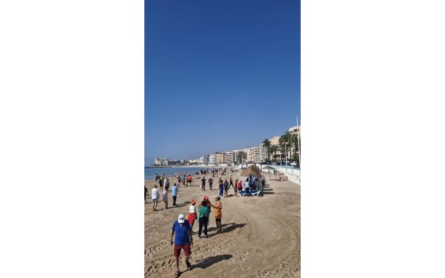 Perpardavimas -  - Torrevieja - Playa de los locos