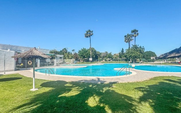 Perpardavimas - Bungalow - Torrevieja - Los Balcones - Los Altos