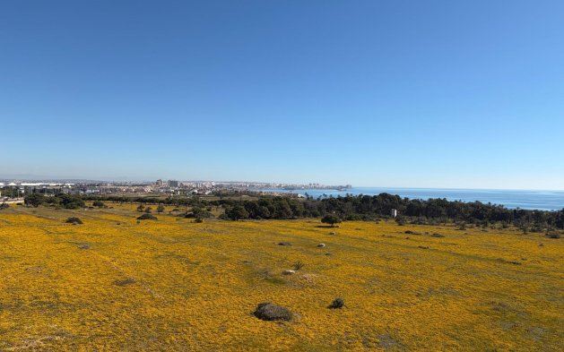 Perpardavimas - Mansarda - Torrevieja - Punta Prima