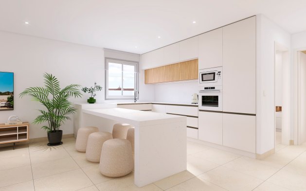 Obra nueva - terraced - Bigastro