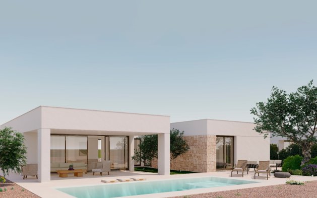 Obra nueva - detached - Fuente Alamo