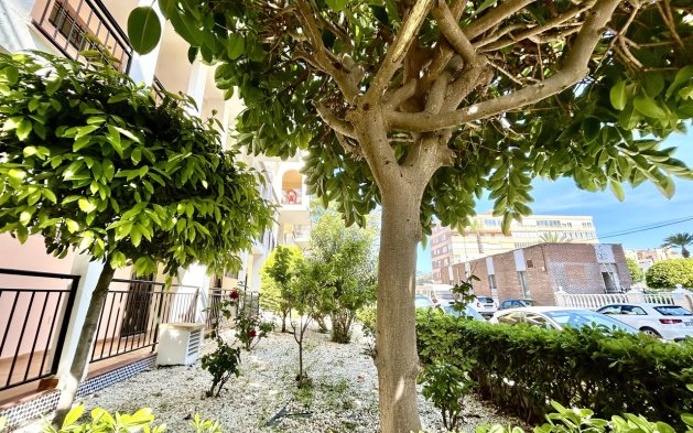 Reventa - Apartamento / piso - Torrevieja