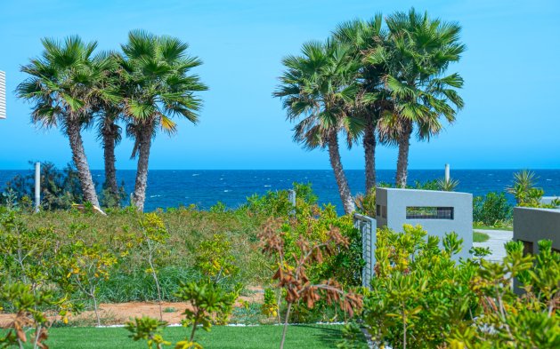 Återförsäljning - Lägenhet / lägenhet - Orihuela Costa - Punta Prima