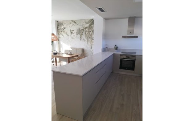 Obra nueva - low-bungalow - Orihuela