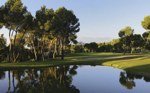 Obra nueva - Apartamento / piso - Torrevieja