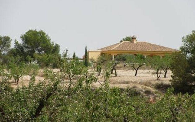 Resale - Plot - Murcia