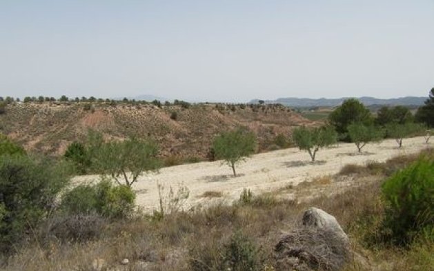 Resale - Plot - Murcia