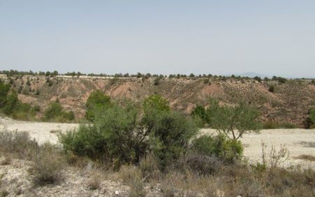 Resale - Plot - Murcia