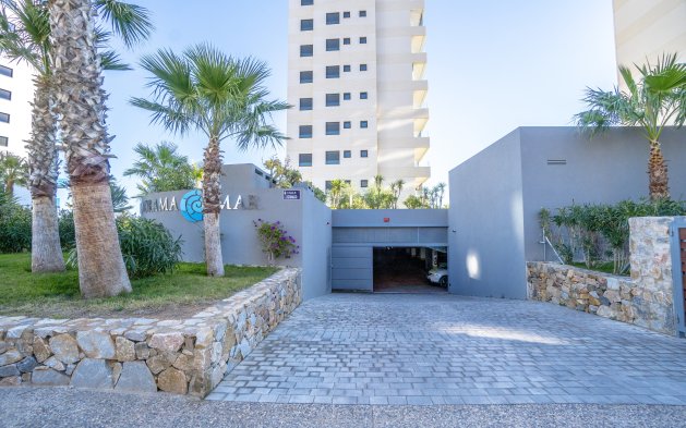 Resale - Penthouse - Torrevieja - Punta Prima